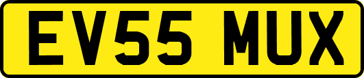 EV55MUX