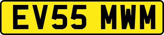 EV55MWM