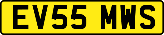 EV55MWS