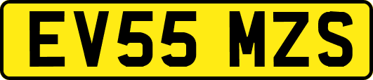 EV55MZS