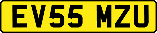 EV55MZU