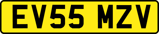 EV55MZV