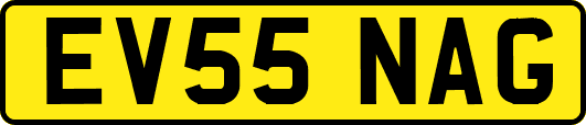 EV55NAG