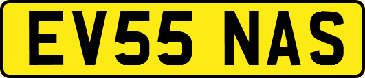 EV55NAS