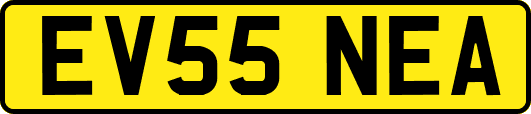 EV55NEA