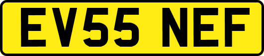 EV55NEF