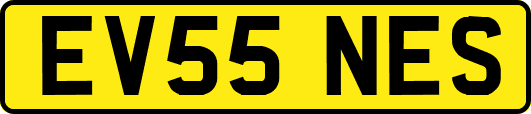EV55NES