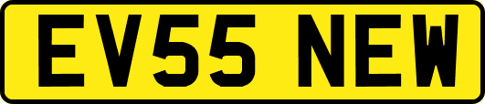 EV55NEW