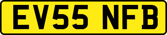 EV55NFB