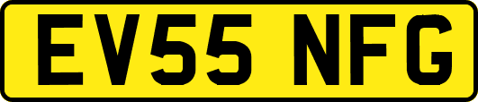 EV55NFG