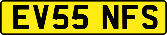EV55NFS