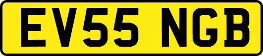 EV55NGB