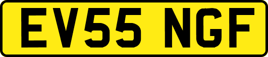 EV55NGF