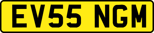 EV55NGM