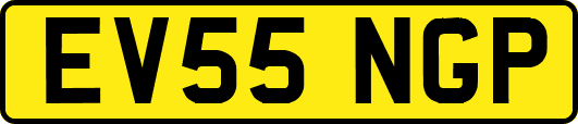 EV55NGP