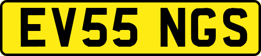 EV55NGS