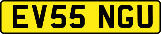 EV55NGU