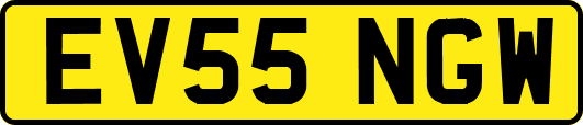 EV55NGW