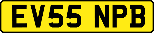 EV55NPB