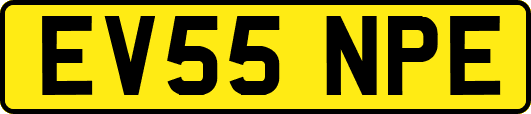 EV55NPE