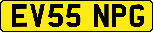 EV55NPG