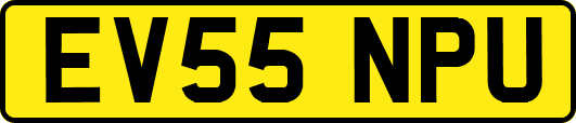 EV55NPU