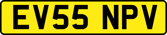 EV55NPV