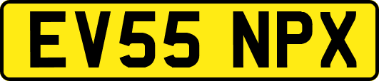 EV55NPX