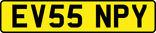 EV55NPY