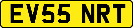 EV55NRT