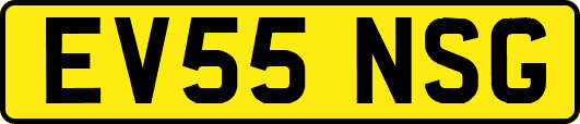 EV55NSG