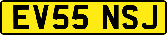 EV55NSJ