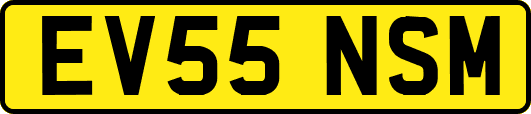 EV55NSM