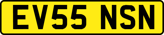 EV55NSN