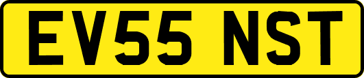 EV55NST