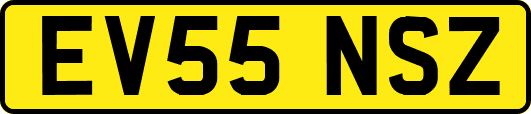 EV55NSZ