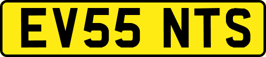 EV55NTS