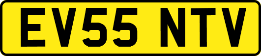 EV55NTV