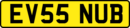EV55NUB