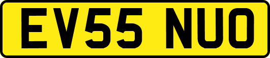 EV55NUO