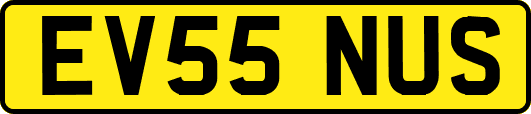 EV55NUS