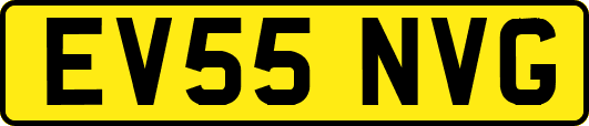 EV55NVG