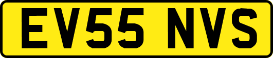 EV55NVS