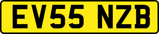 EV55NZB