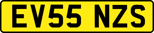 EV55NZS