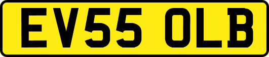 EV55OLB