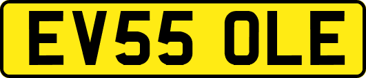 EV55OLE