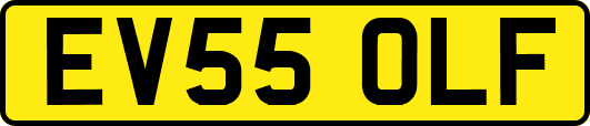 EV55OLF