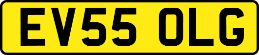EV55OLG