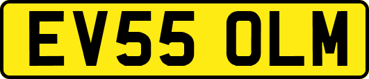 EV55OLM